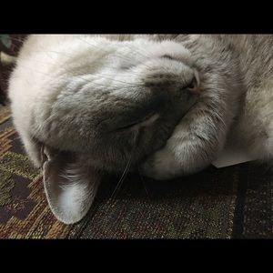 Meet your Posher, Annette